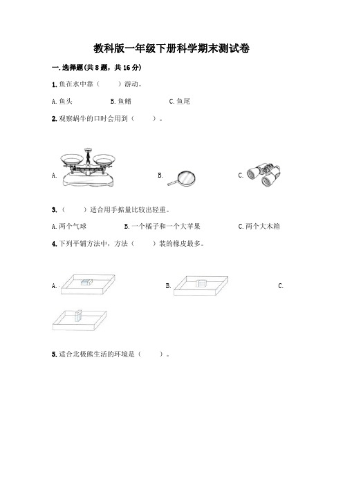 教科版一年级下册科学期末测试卷带答案AB卷附答案(培优B卷)