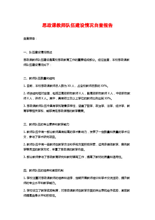 思政课教师队伍建设情况自查报告