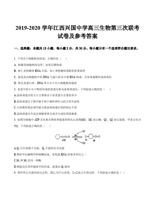 2019-2020学年江西兴国中学高三生物第三次联考试卷及参考答案