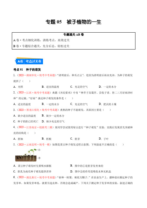 专题05 被子植物的一生-备战2024年中考生物一轮复习考点帮(全国通用)(原卷版)