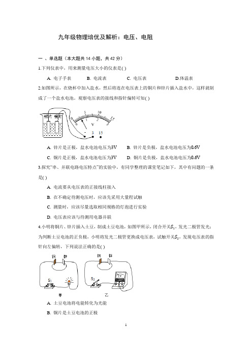 九年级物理培优及解析：电压、电阻
