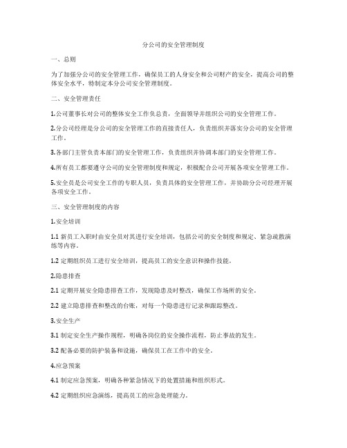 分公司的安全管理制度