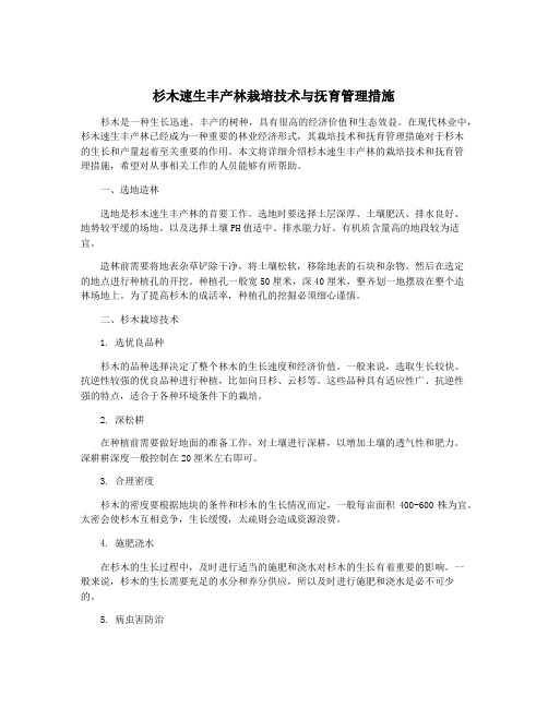 杉木速生丰产林栽培技术与抚育管理措施