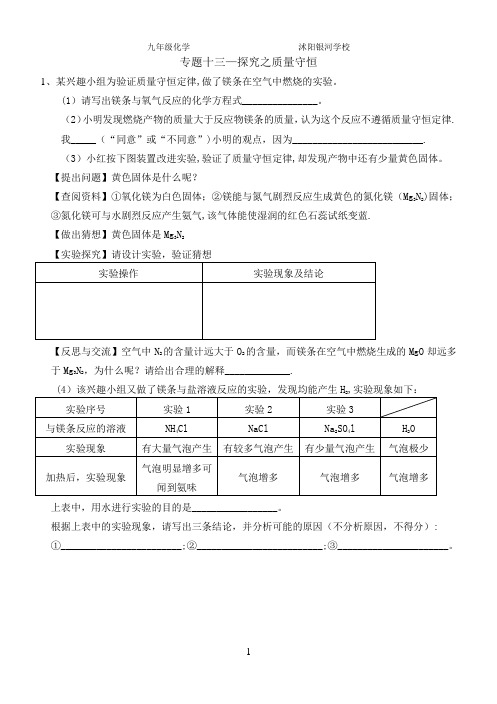 专题十三--探究题(质量守恒定律)