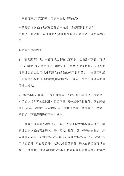 小鼠灌胃的方法及注意事项