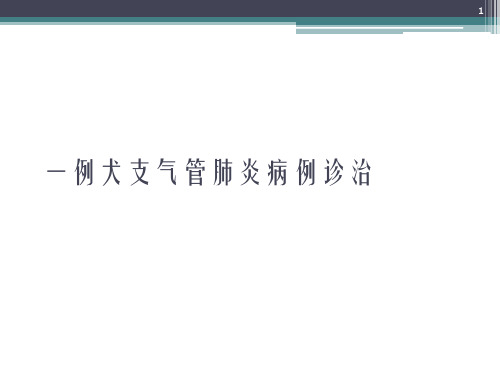 一例犬支气管肺炎病例诊治ppt课件