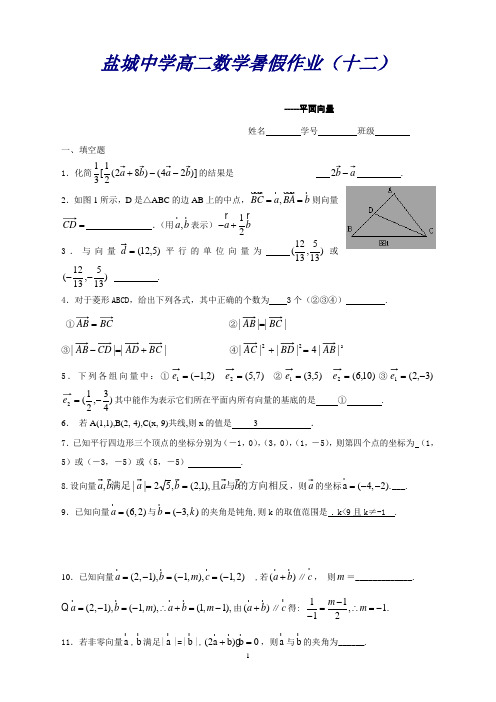 江苏省盐城中学高二数学暑假作业12：平面向量(教师版)