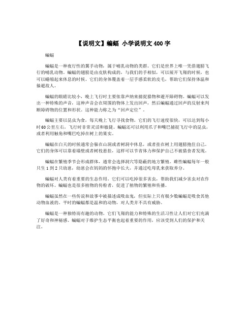 【说明文】蝙蝠 小学说明文400字