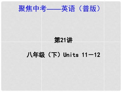 中考英语 九年级Units 1112(考点精讲+考点跟踪突破+13