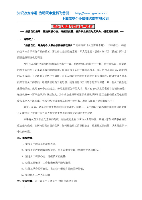 职业素养与自我品牌经营(提升职业素养与竞争力、保持积极心态、训练自己的正能量) (1)