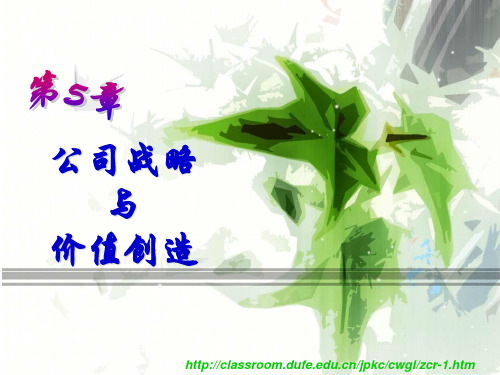 公司战略与价值创造高级财务管理(刘淑莲)PPT资料
