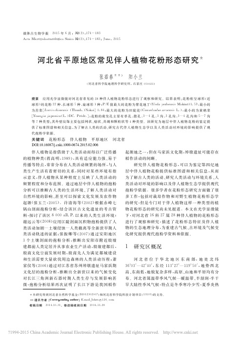 河北省平原地区常见伴人植物花粉形态研究