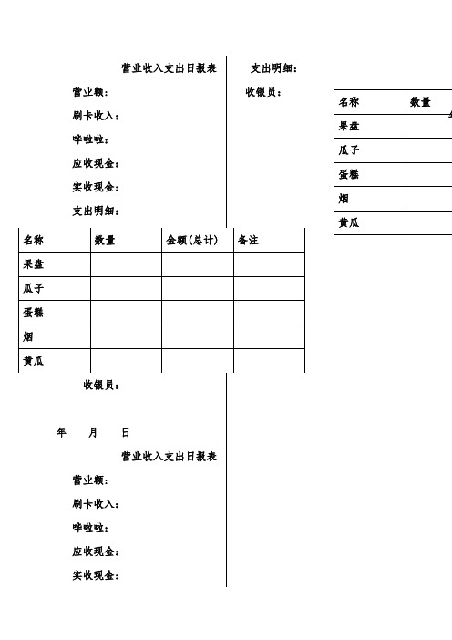 营业收入支出日报表