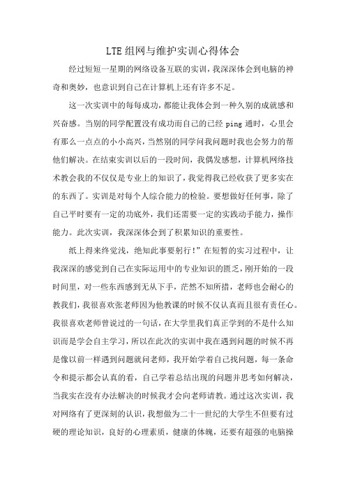 LTE组网与维护实训心得体会