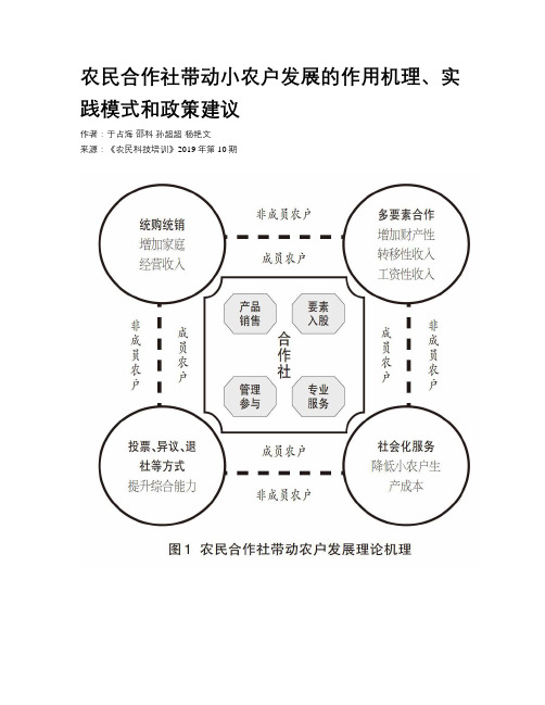 农民合作社带动小农户发展的作用机理、实践模式和政策建议