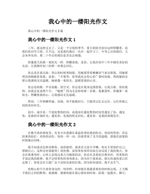 我心中的一缕阳光作文