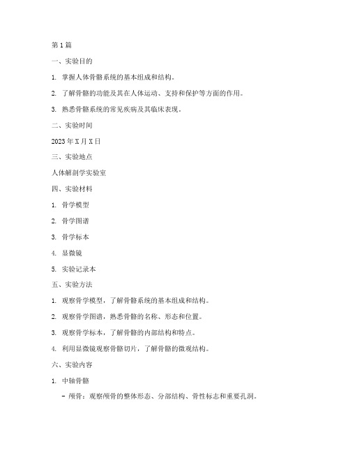 系统解剖骨学实验报告(3篇)