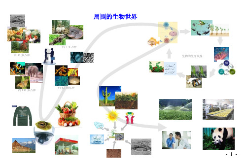 初一生物(人教版)思维导图