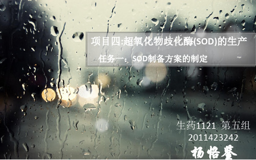 杨恪鉴超氧化物歧化酶(SOD)的生产.pptx