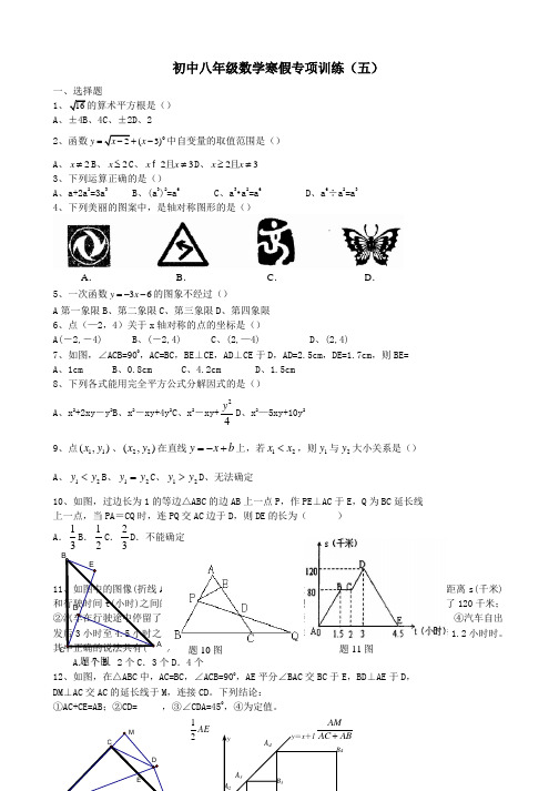 【初中】八年级数学寒假专项训练(五) 新人教版