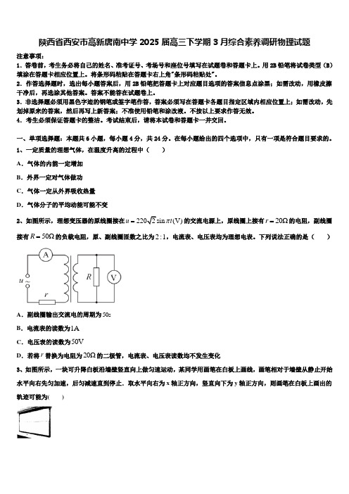 陕西省西安市高新唐南中学2025届高三下学期3月综合素养调研物理试题