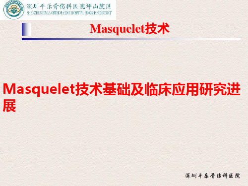 Masquelet技术分析