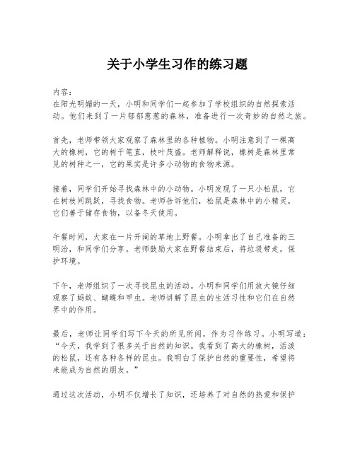 关于小学生习作的练习题