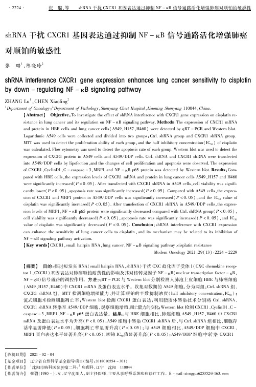 shRNA干扰CXCR1基因表达通过抑制NF-κB信号通路活化增强肺癌对顺铂的敏感性