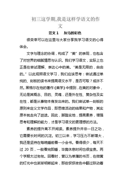 初三这学期,我是这样学语文的作文