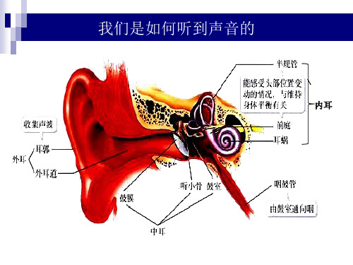 先天性耳聋