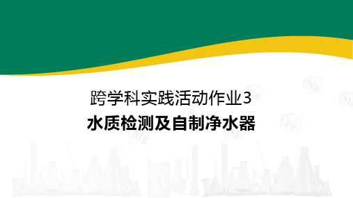 化学人教版(2024)九年级上册 第四单元 跨学科实践活动作业3 水质检测及自制净水器  课件