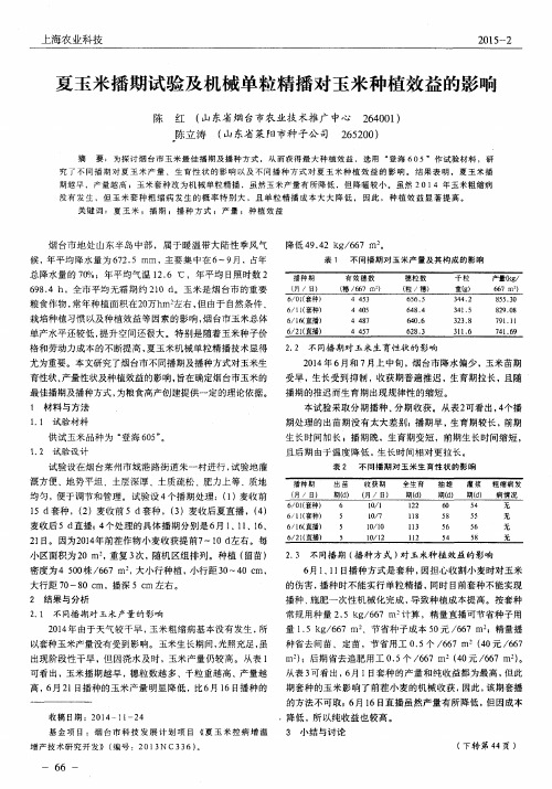 夏玉米播期试验及机械单粒精播对玉米种植效益的影响