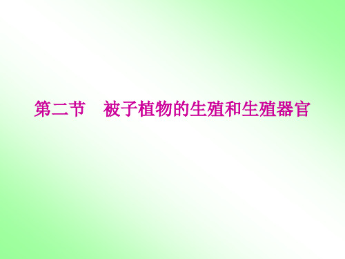 被子植物的生殖和生殖器官 