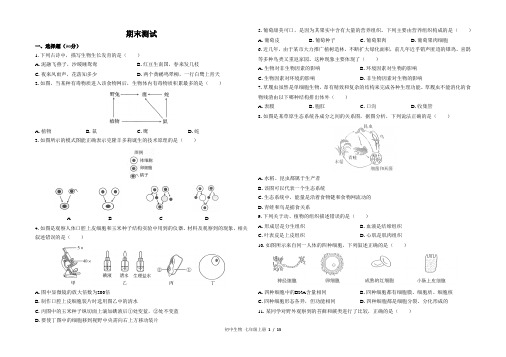 人教版初中生物七年级上册期末测试卷及答案共3套