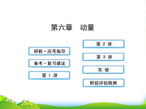 【全程复习】(广西专用)(广西专用)高考物理一轮复习 6动量课件 新人教