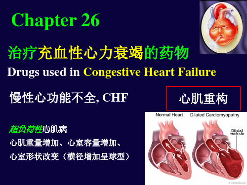 【新整理】充血性心力衰竭护理学ppt课件