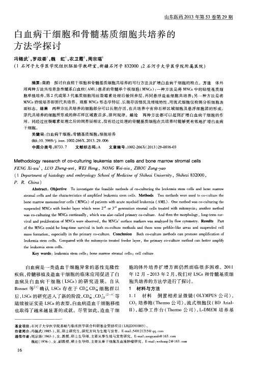 白血病干细胞和骨髓基质细胞共培养的方法学探讨