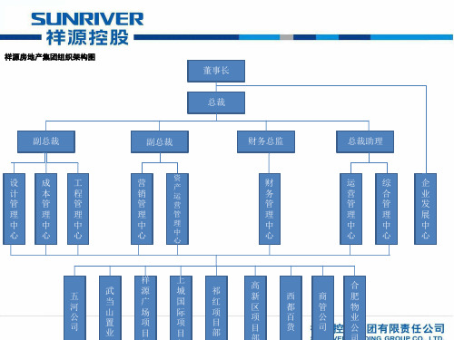 祥源房地产集团组织架构图