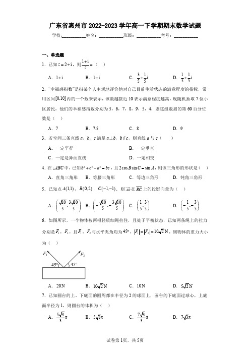 广东省惠州市2022-2023学年高一下学期期末数学试题