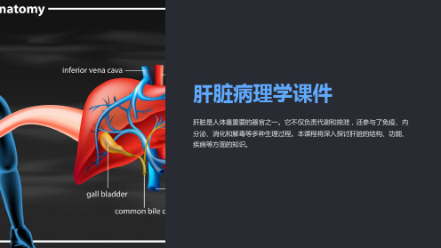 《肝脏病理学课件》