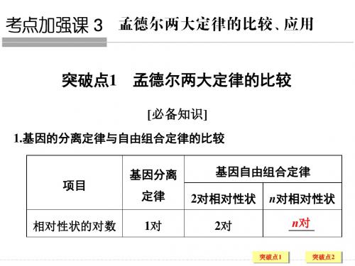 孟德尔两大定律的比较和应用