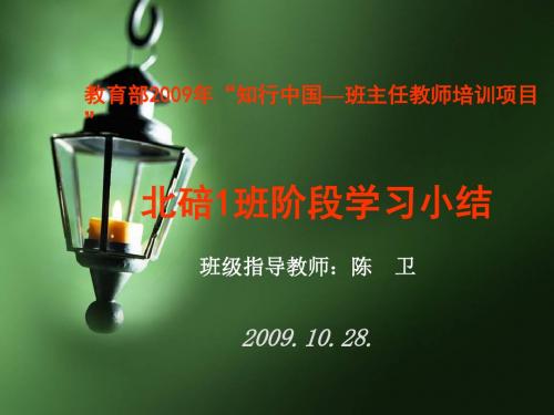 教育部2009年知行中国班主任教师培训项目要点