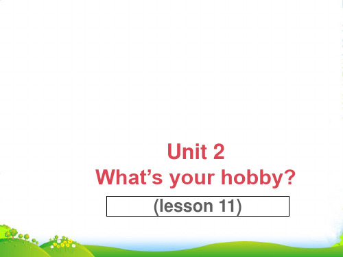 精通版六年级英语上册Unit 2 What's your hobby Lesson 11 课件2