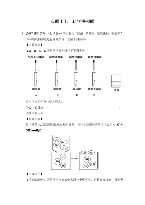 最新人教版九年级化学中考专题十七 科学探究题 典题精练