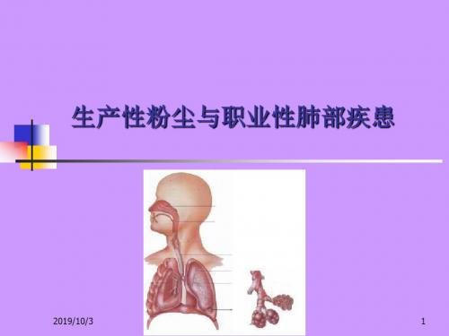 (医学PPT课件)生产性粉尘与肺部疾患