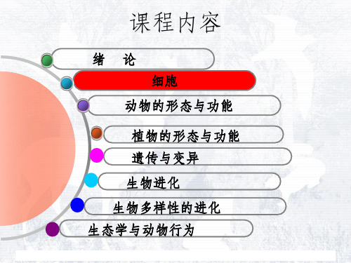 普通生物学第二章生命的化学基础