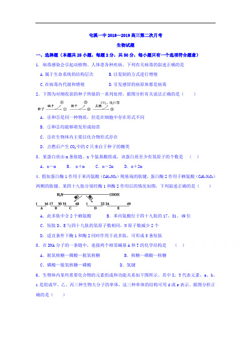 安徽省黄山市屯溪第一中学2019届高三上学期第二次月考生物试题