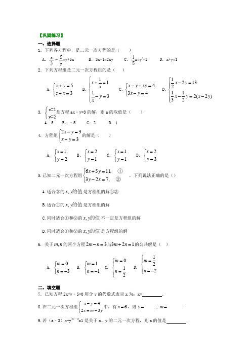 二元一次方程组的相关概念(基础)巩固练习