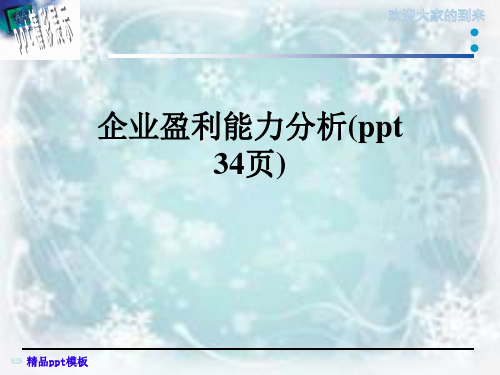 企业盈利能力分析(ppt-34页)