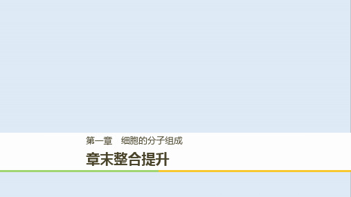 2018版高中生物第一章章末整合提升细胞的分子组成课件浙科版必修1